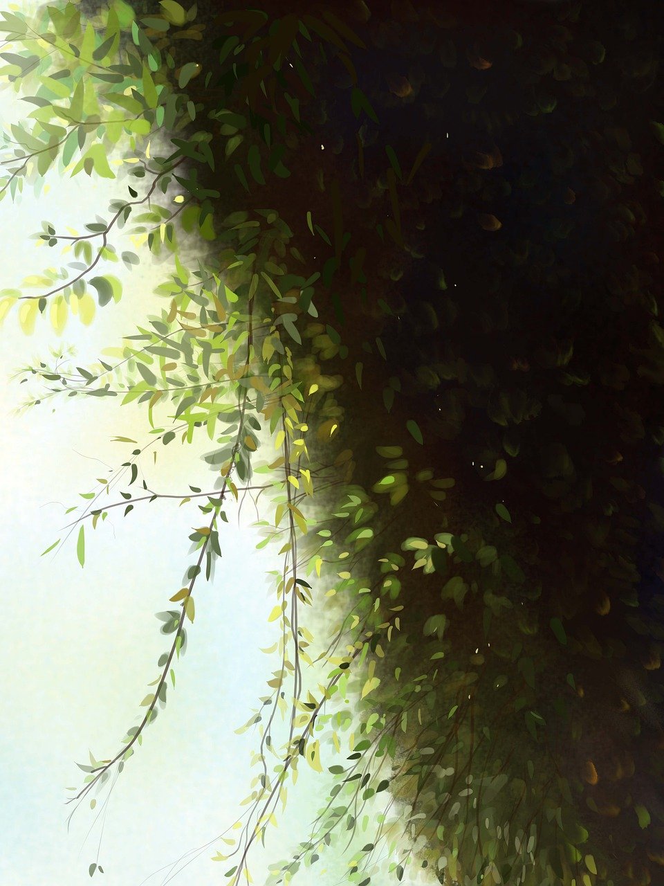 나의신용도조회