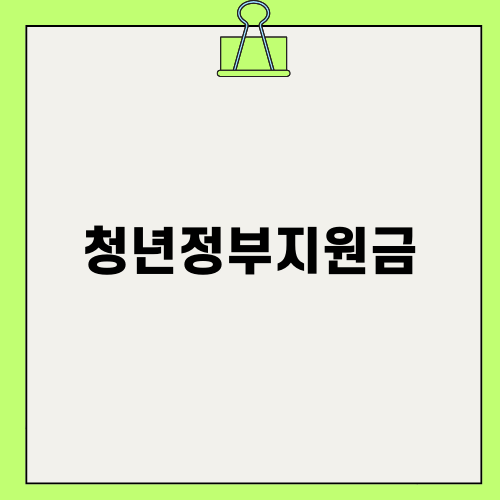 청년정부지원금의 모든 것