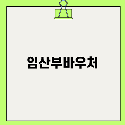 임산부바우처로 임신 지원 받기