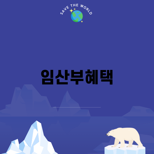 2024 임산부혜택 총정리